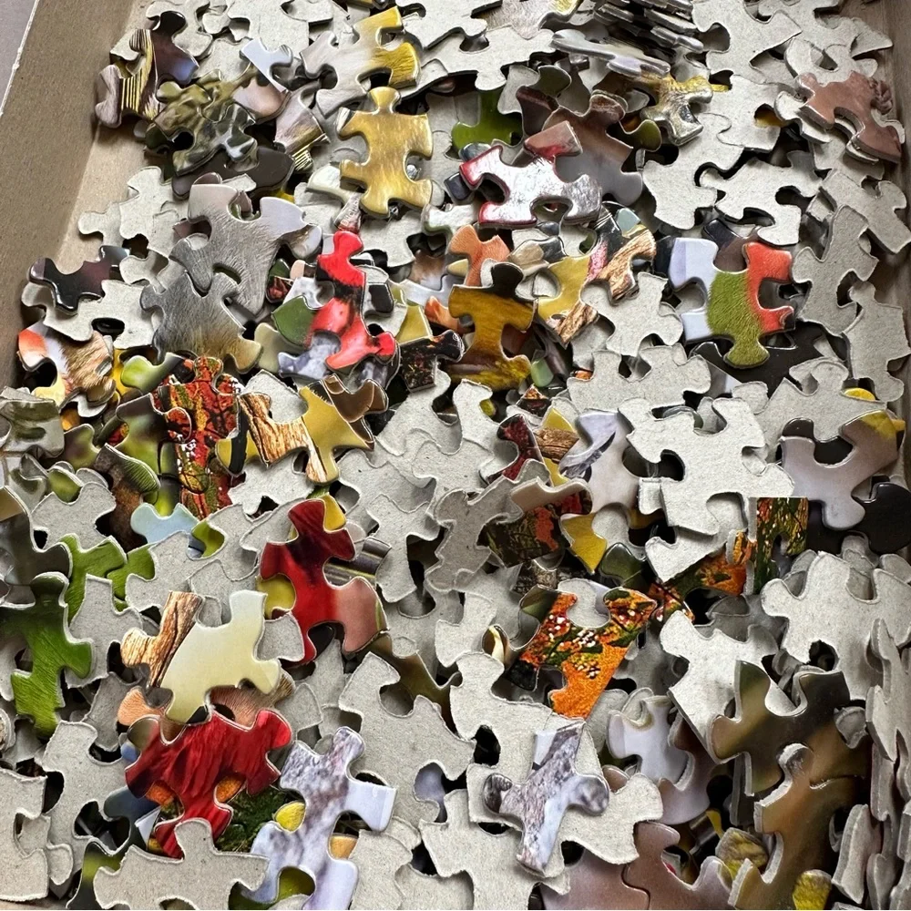 SPRINGBOK 500pc Wild SongBird jigsaw puzzle